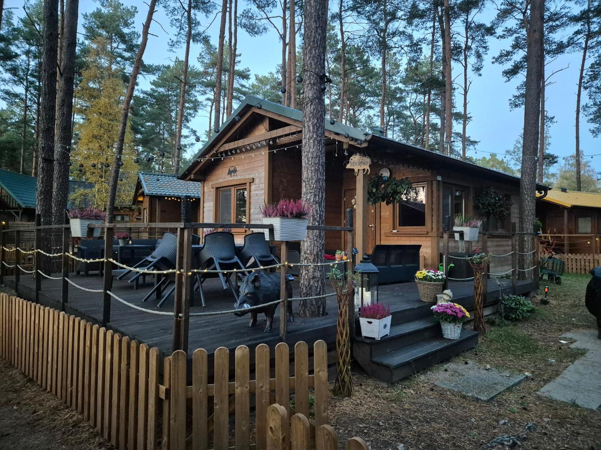 Hotel Dzik W Zagrodzie Borsk Exterior foto